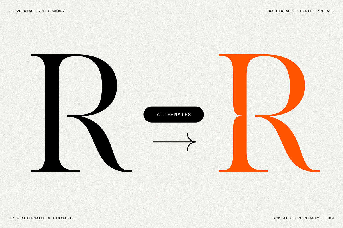 Netsera Calligraphic Serif Typeface, a Serif Font by SilverStag Type Foundry (Photo 26 of 30)