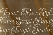 Theafalina - Beauty Elegant Script, a Script Font by Aksapix Studio (Thumbnail 5 of 10)