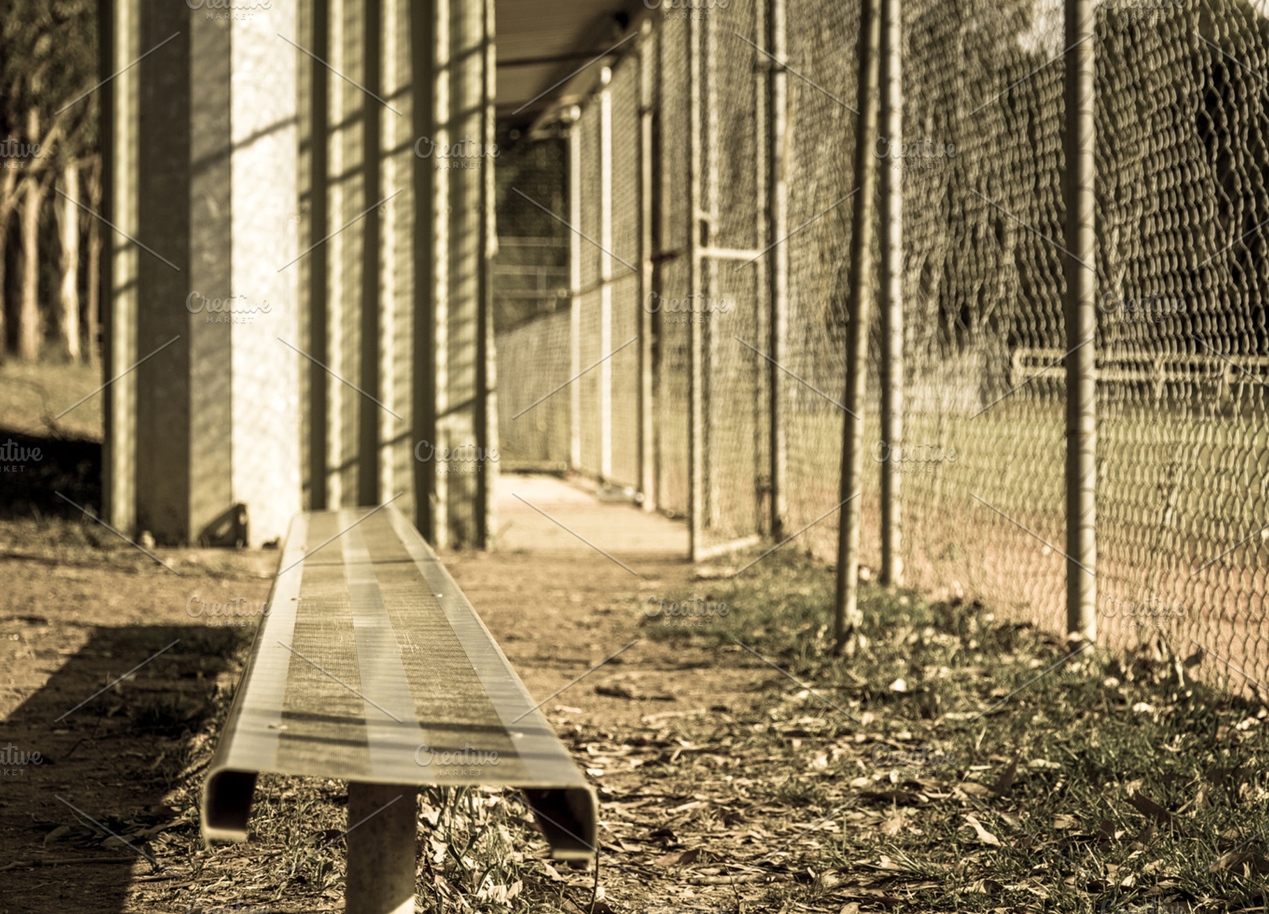 Vintage Baseball Dugout Bench, a Sports & Recreation Photo by Dylan Martin Studios