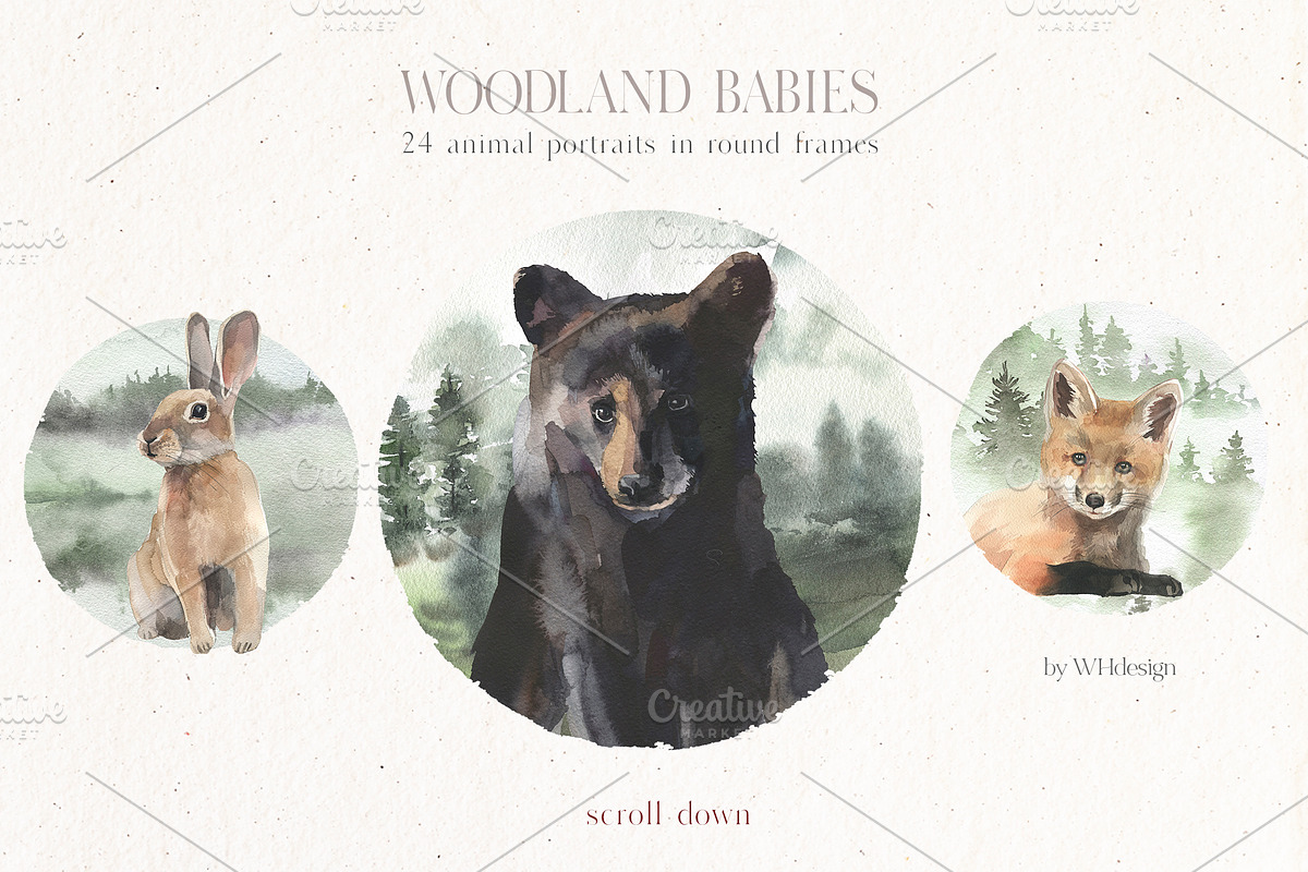Woodland Babies Wild Animals Clipart, an Animal Illustration by whiteheartdesign (Photo 18 of 28)