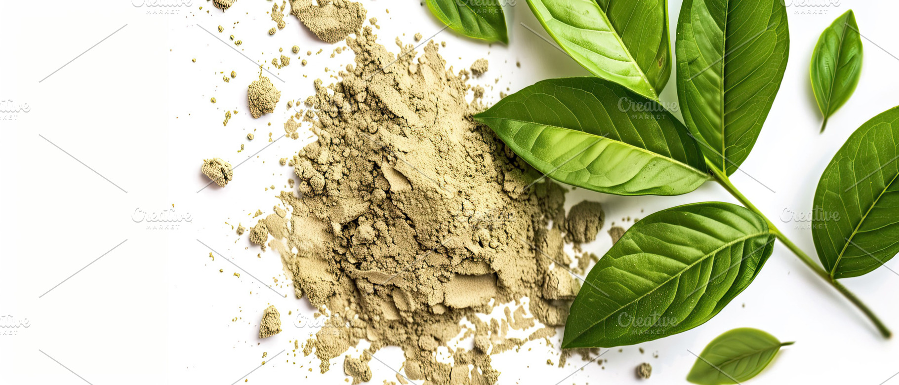 herbal leaf powder, centela, white b, a Photo by LOGOCREATIVE