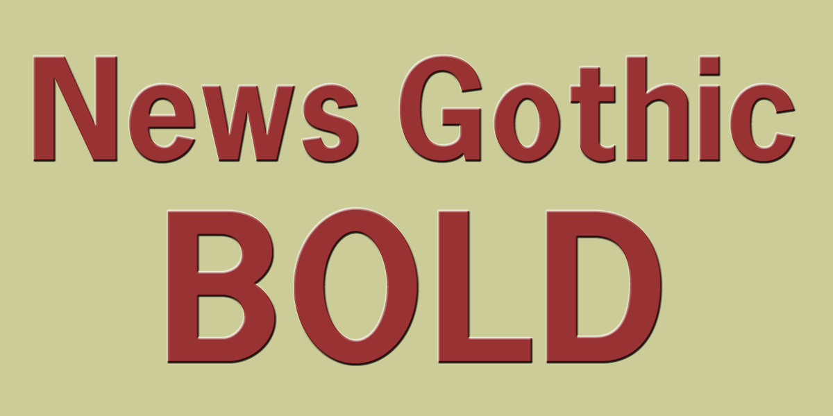 News Gothic Bold, a Sans Serif Font by Wooden Type Fonts