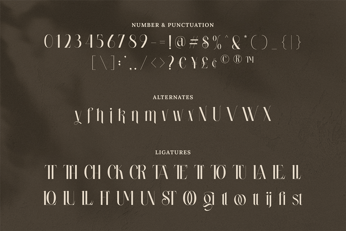 Wastogi Beautiful Serif, a Serif Font by Creatype Studio (Photo 8 of 10)