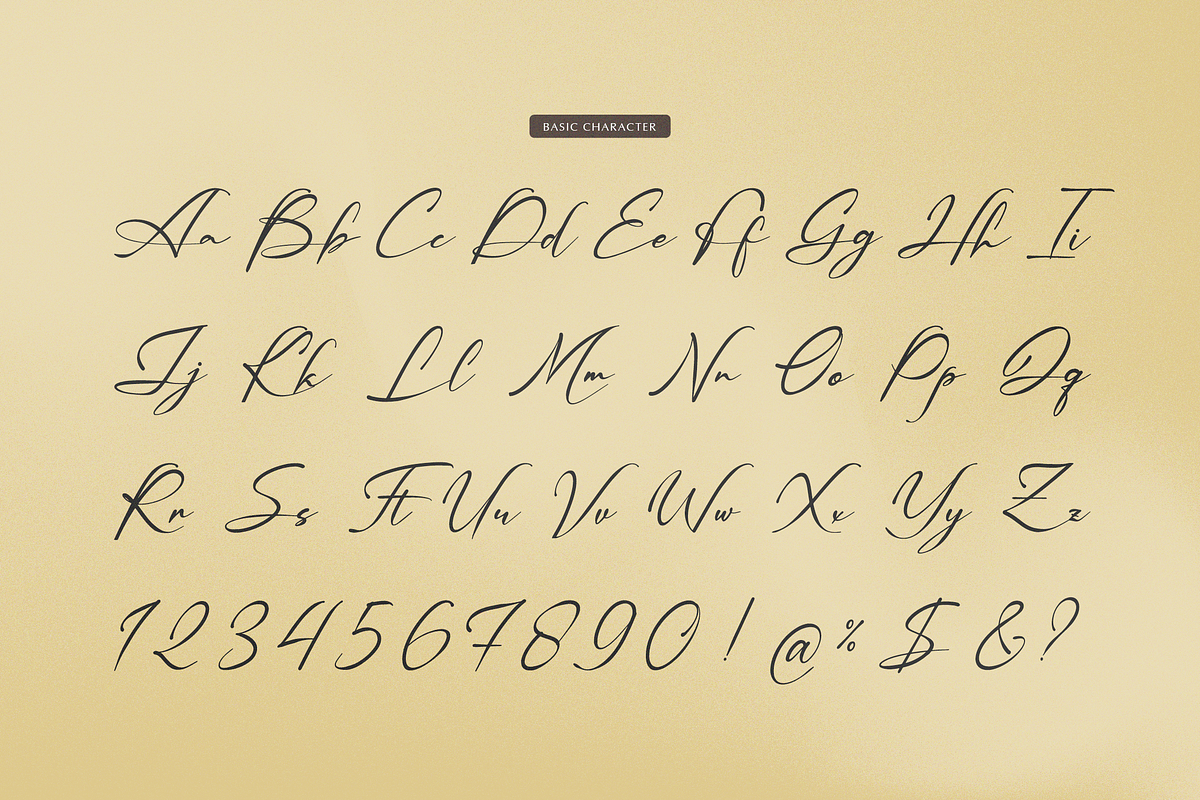 Palmintte | Handwritten Script, a Script Font by gracetype_studio (Photo 10 of 12)