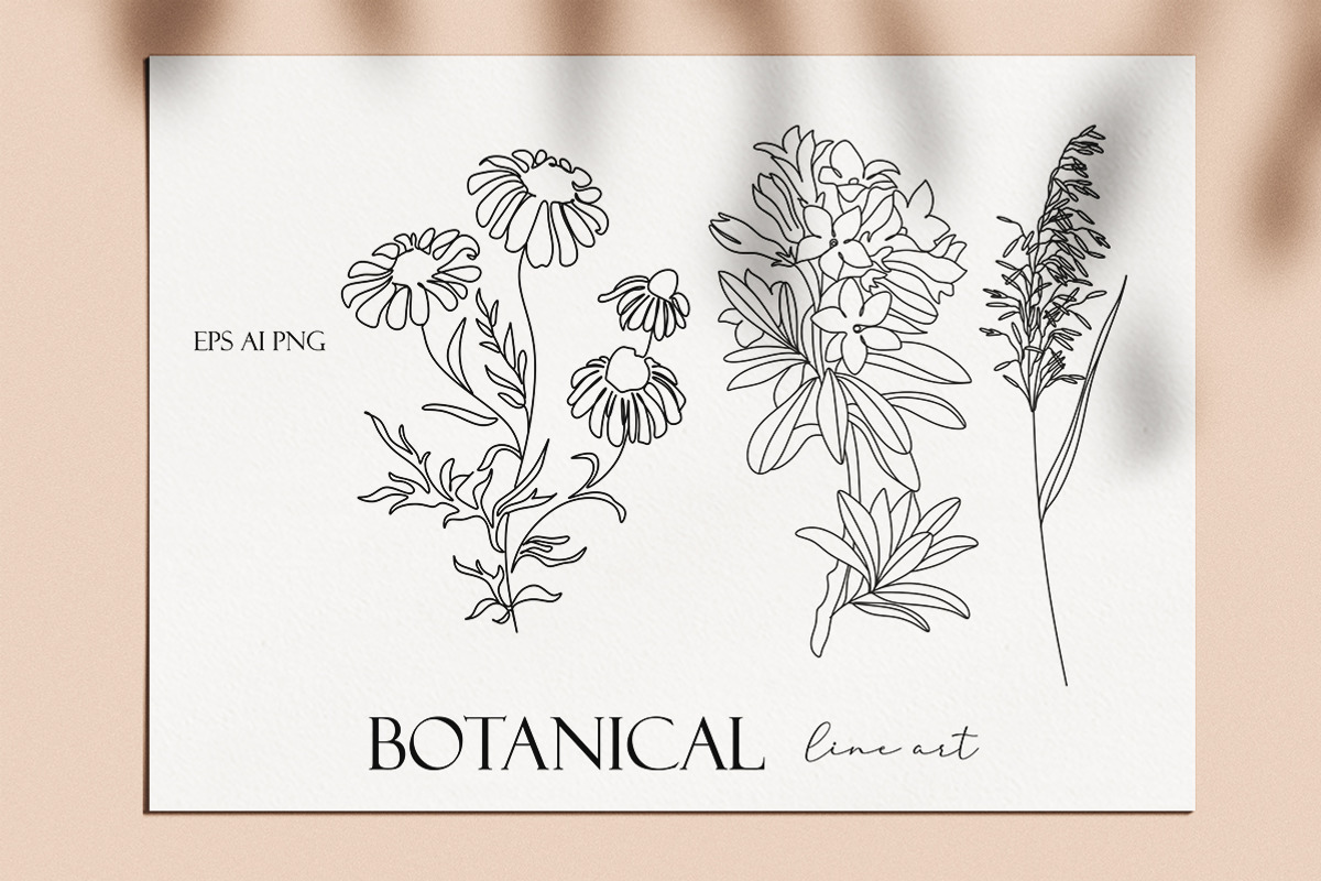 Botanical hand - drawn line art, an Illustration by velychko.ua (Photo 6 of 6)