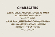 RAFFTER Sans Serif, a Sans Serif Font by West Weird (Thumbnail 3 of 7)