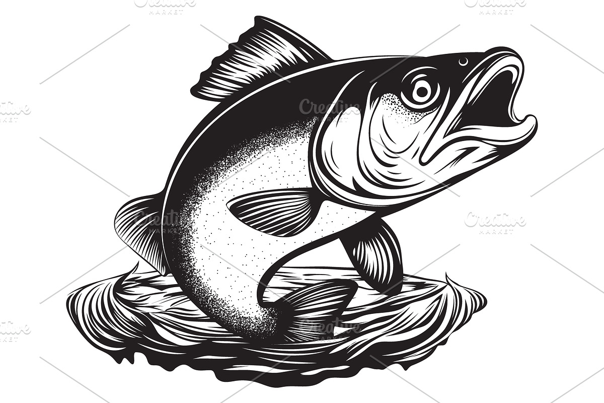 Fish Jumping out of the Water Vector, an Animal Illustration by Ghagra (Photo 1 of 4)