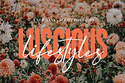 The Script Font Bundle - Vol 02, a Script Font by Salt & Pepper Designs (Thumbnail 8 of 11)