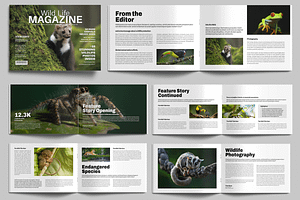 Wildlife Photography Magazine, a Magazine Template by MightyDesign