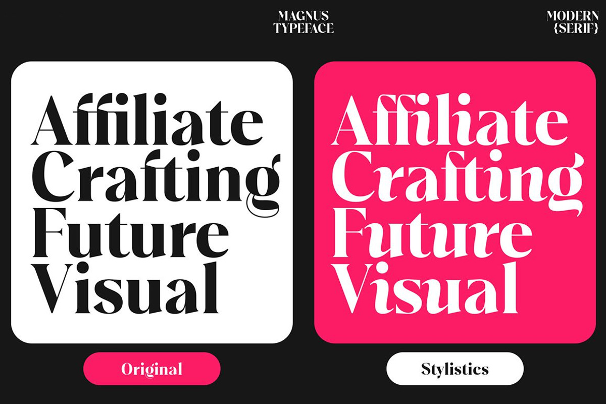 Plakent, a Serif Font by studiobasic (Photo 11 of 15)