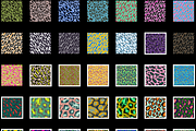 35 Leopard Fur Seamless Patterns, a Pattern Graphic by Luxury Fashion Prints (Thumbnail 9 of 9)