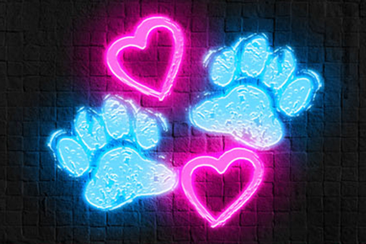 Neon Photoshop Action, an Action Add-On by DESIGNAVO (Photo 8 of 8)