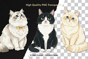 15 Bundle Watercolor Lazy Cats Kiten, an Animal Illustration by Morspective (Thumbnail 2 of 8)