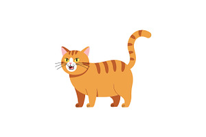 Playful orange tabby cat with cheerf, an Illustration by designvectx