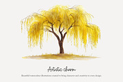 100 watercolour global tree clip art, a Seasonal Illustration by Poppy Lane Studio (Thumbnail 4 of 11)