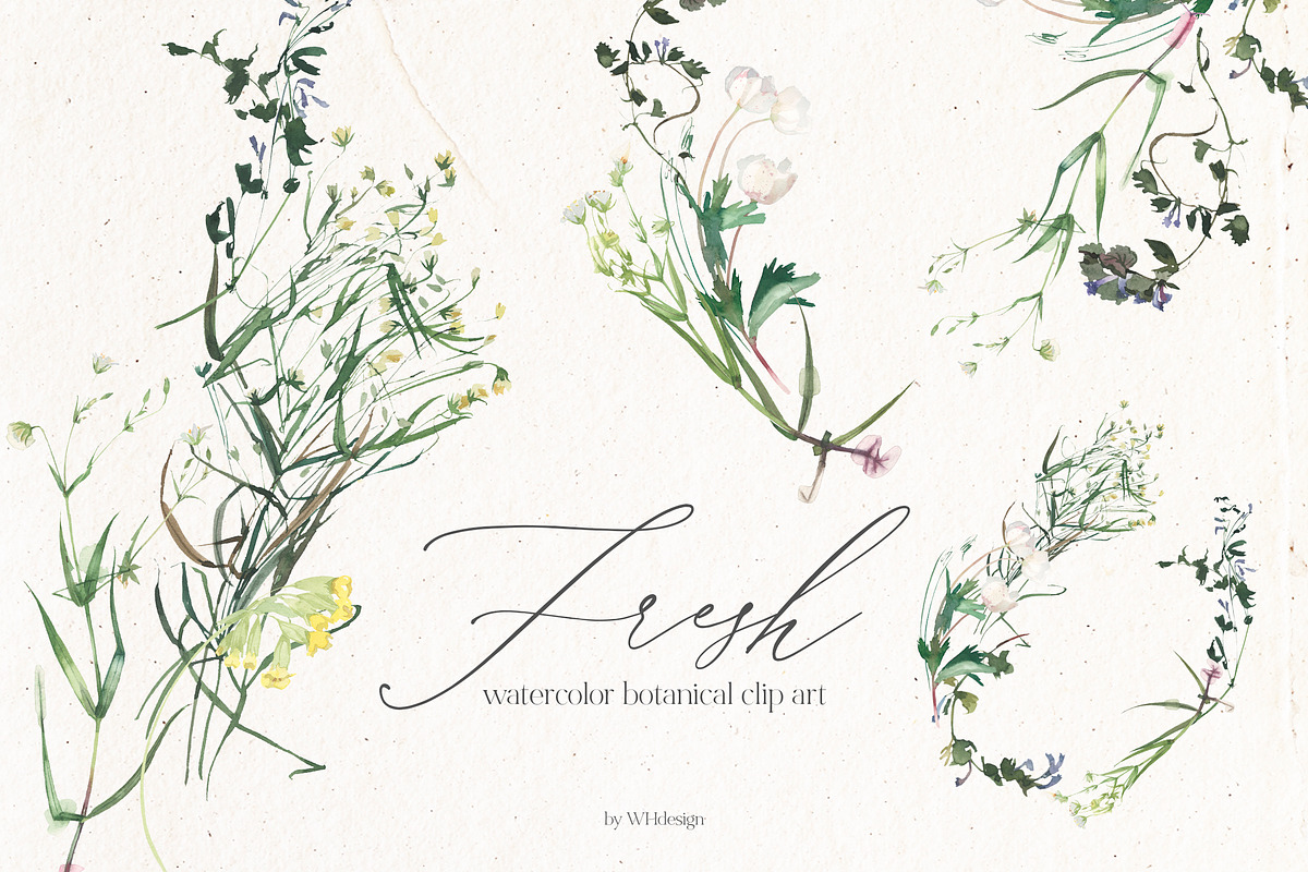 Fresh Watercolor Botanical Clip Art, a Decorative Illustration by whiteheartdesign (Photo 1 of 5)