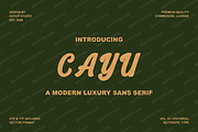 Cayu - Refined Modern Serif, a Serif Font by Astuti Studio (Thumbnail 3 of 23)