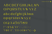 Coroy - Elegant Sans Serif Font, a Sans Serif Font by Aqeel_Art (Thumbnail 10 of 12)