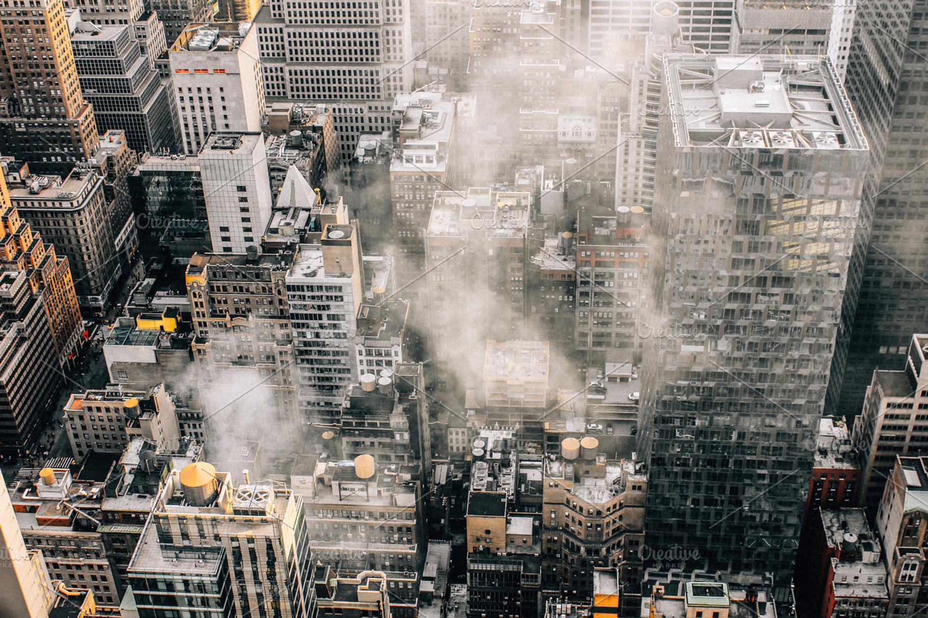 Manhattan Jungle