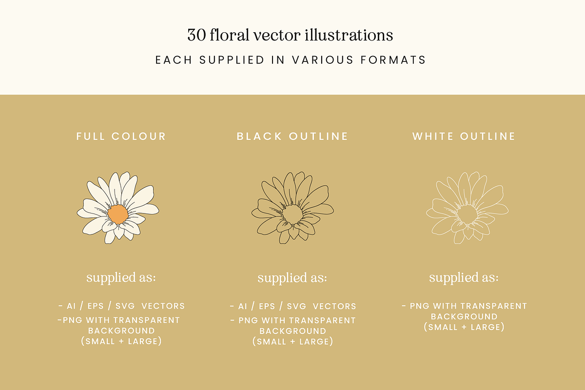 Spring Floral Vector Illustrations, a Decorative Illustration by Emma Webb Studio (Photo 3 of 9)
