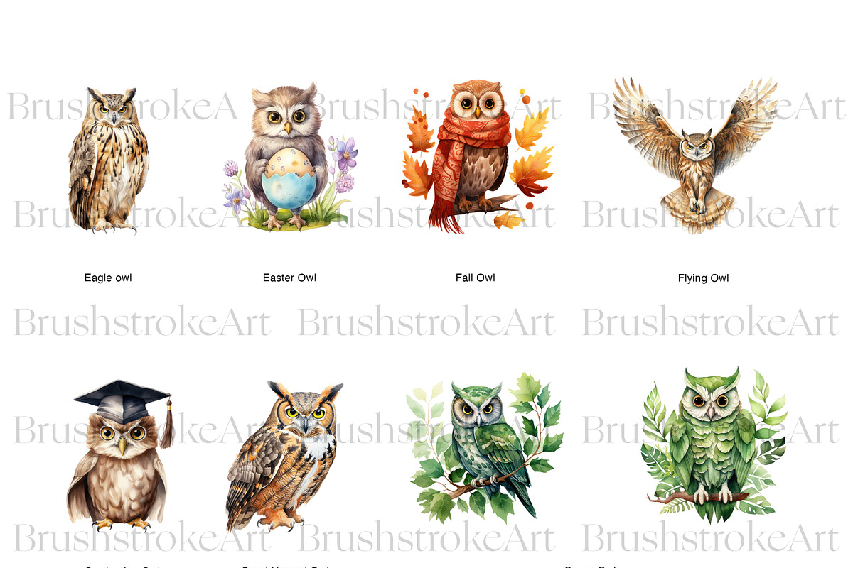 Watercolor Owl Clipart, Cute Owl PNG, an Animal Illustration by BrushstrokeArtGB (Photo 6 of 9)