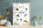 Watercolour Ray Set, an Education Illustration by Tati Bordiu (Thumbnail 6 of 6)