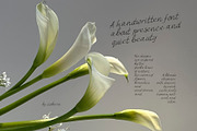 Between Lines Handwritten Font, a Handwritten Font by Lidberia (Thumbnail 2 of 7)