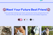 Website for Animal Shelter, a Branding & Logo Template by WebDesignDaria (Thumbnail 4 of 4)