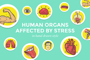 Human Organs Affected by Stress