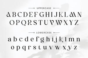 Morika Elegant Serif Font