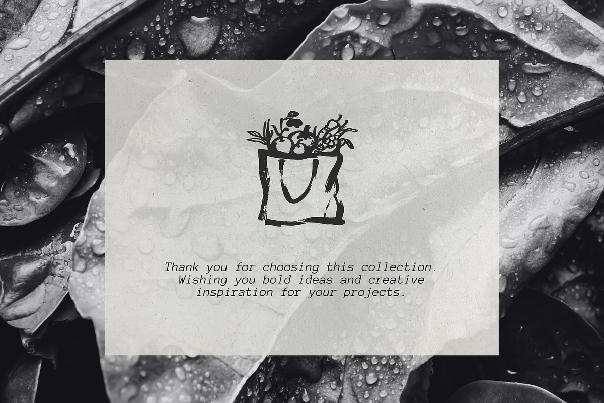 Organic Market 116 Ink Illustrations, a Food Illustration by Veyla (Photo 15 of 15)