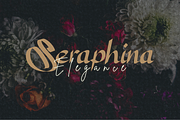 NEFIONA, a Serif Font by Rizenight (Thumbnail 9 of 10)