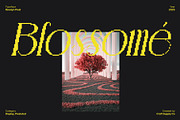Revalyn Pixel, a Serif Font by Craft Supply Co. (Thumbnail 7 of 8)