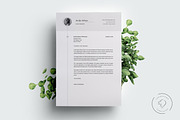 Resume and Cover Letter - 5 Pages, a Resume Template by Leo Resume (Thumbnail 3 of 5)