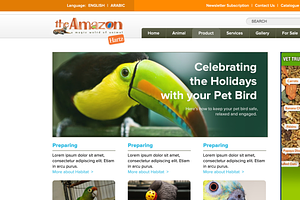 Amazon Pets Shop HTML Template