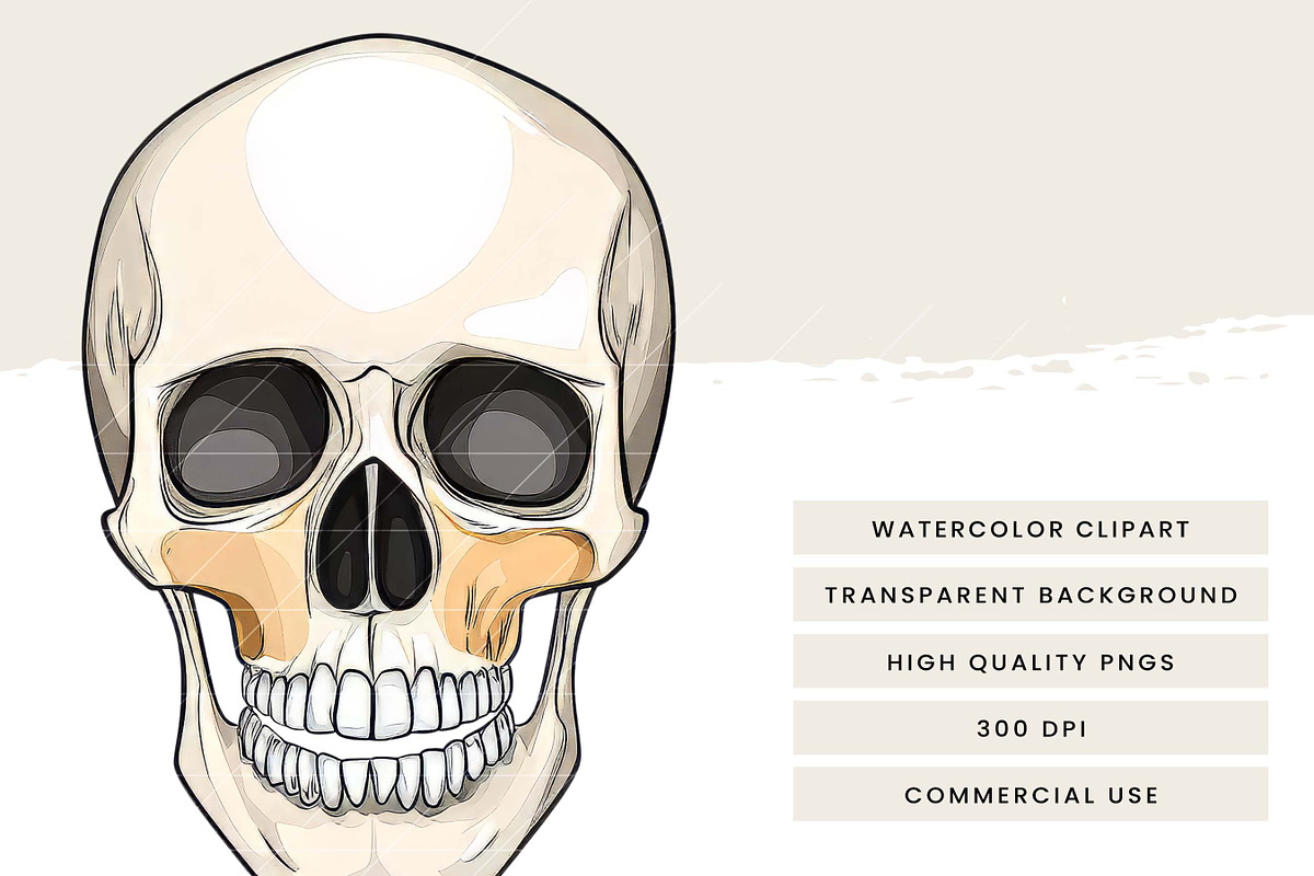 Vector Human Anatomy Clipart, a Person Illustration by Design Scotch (Photo 8 of 9)