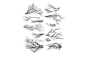 A set of tree branches . hand, an Object Illustration by Nenahliadava Design