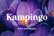 Kampingo Retro Serif Display Font, a Serif Font by UICreative (Thumbnail 1 of 14)