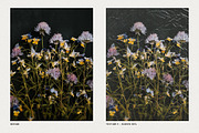 Distressed Textures & Overlays, a Texture Graphic by May Motif (Thumbnail 10 of 14)