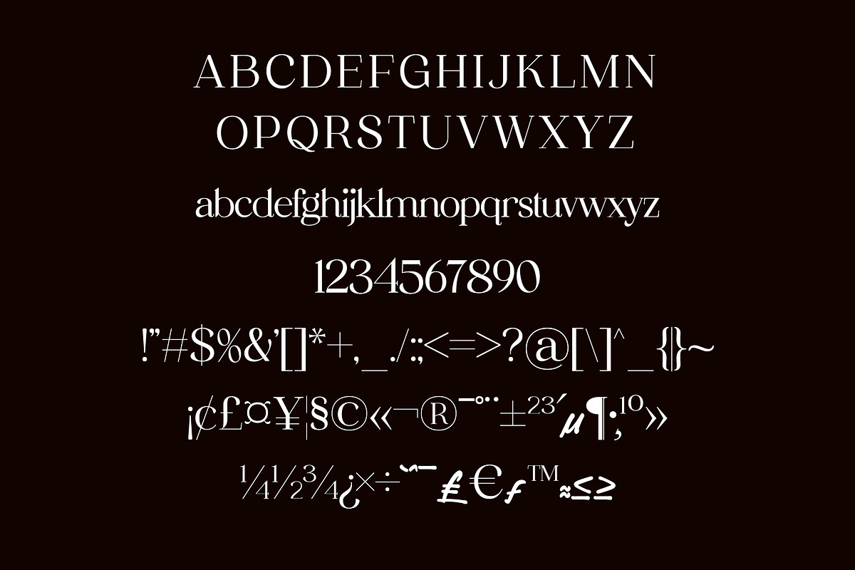 Nostalgia Modern Serif Font, a Serif Font by Storytype Studio (Photo 14 of 17)