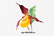 Botanical art watercolor and pencils, a Food Illustration by ViktoriArt (Thumbnail 3 of 16)
