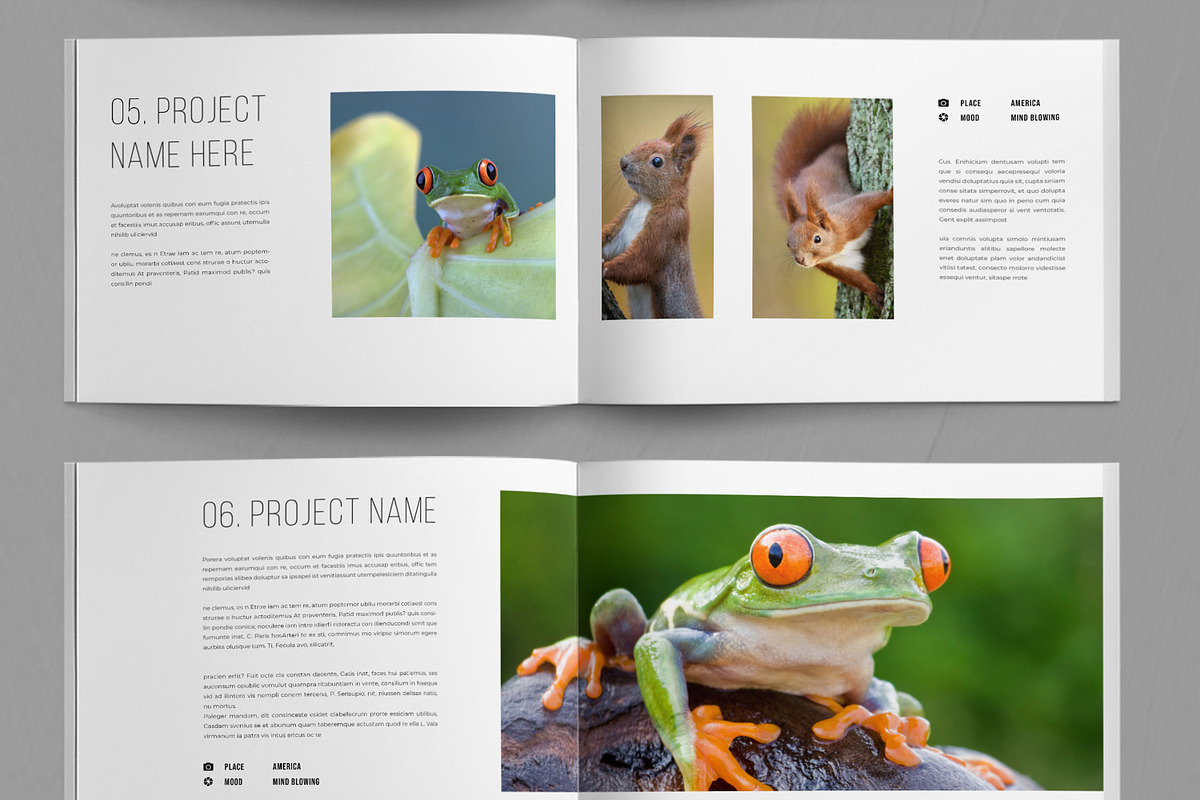Botanical Magazine, a Magazine Template by ContestDesign (Photo 5 of 5)