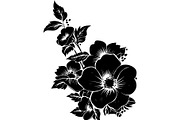 Vintage Floral Corner SVG Bundle, an Object Graphic by Designer_Momina (Thumbnail 11 of 14)