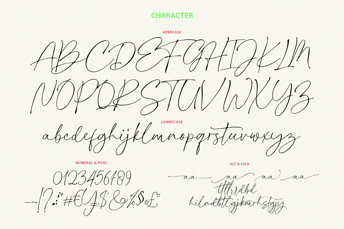 Rettgaros Script, a Script Font by Realtype (Photo 12 of 12)