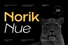 Norik Nue - A Modern Sans-serif Font