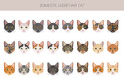 Domestic shorthair cat, an Animal Illustration by pet design shop (Thumbnail 5 of 6)