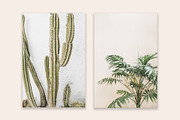 Palm & Cactus Bundle, a Nature Photo by Floral Deco (Thumbnail 2 of 6)