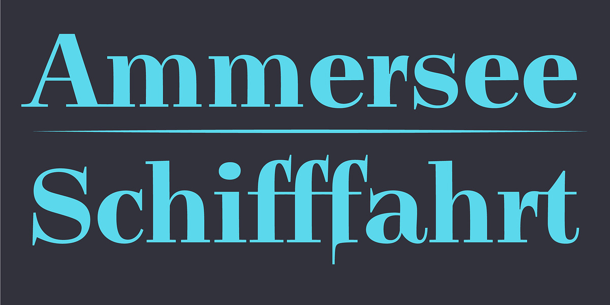 Legit Didone, a Serif Font by Finaltype (Photo 11 of 13)