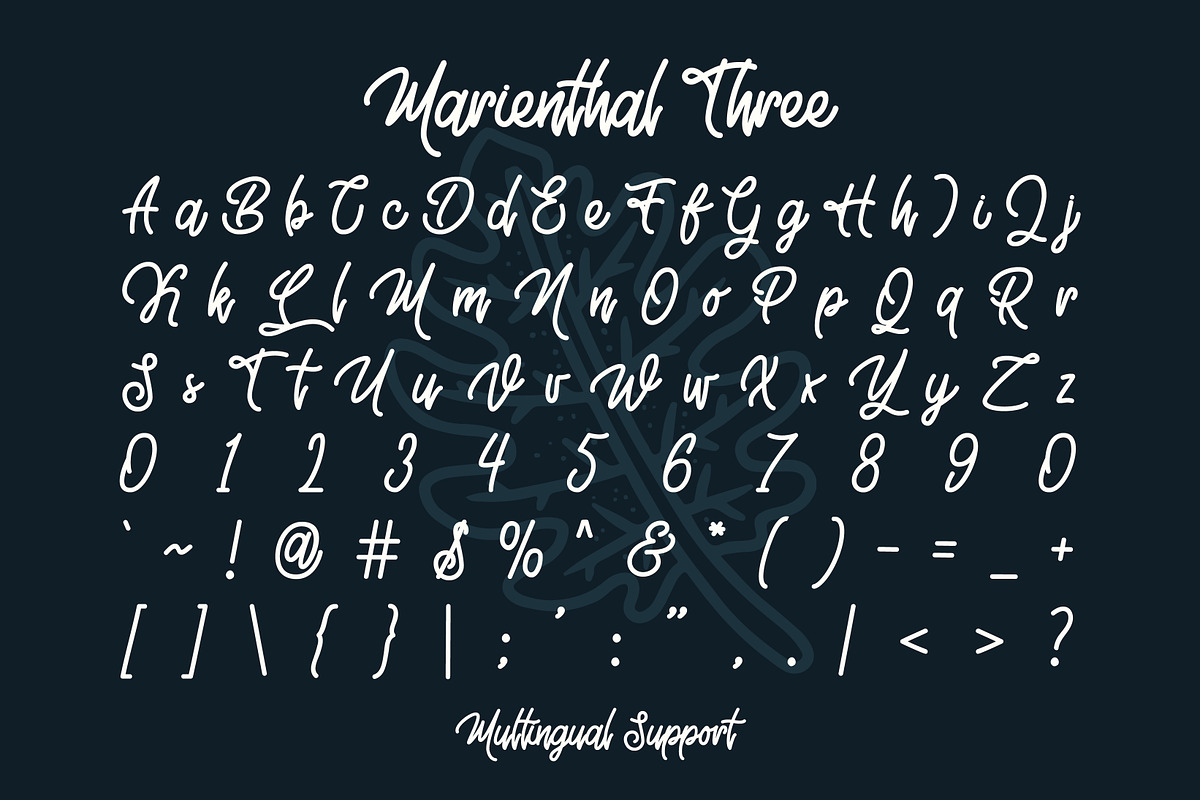 Marienthal Font Bundle + Extras! preview 6