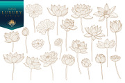 Lotus hand drawn vector set, a Seasonal Illustration by Vectorwins Premium Shop (Thumbnail 1 of 4)